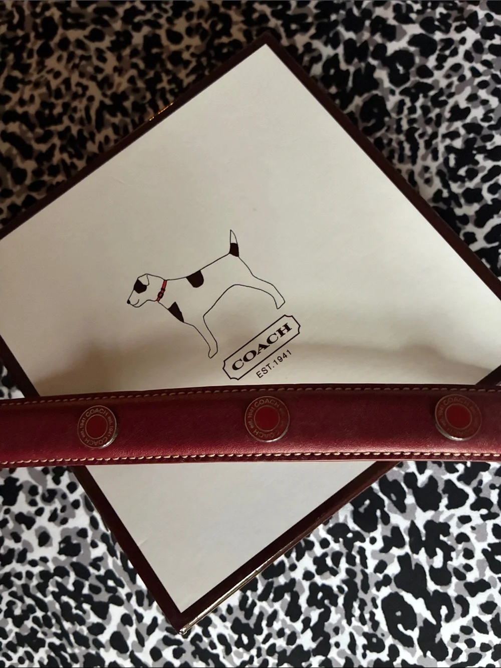 Coach Rare Vintage Sz. MED, Red Leather Grommet Dog Collar, Square Charm w Box
